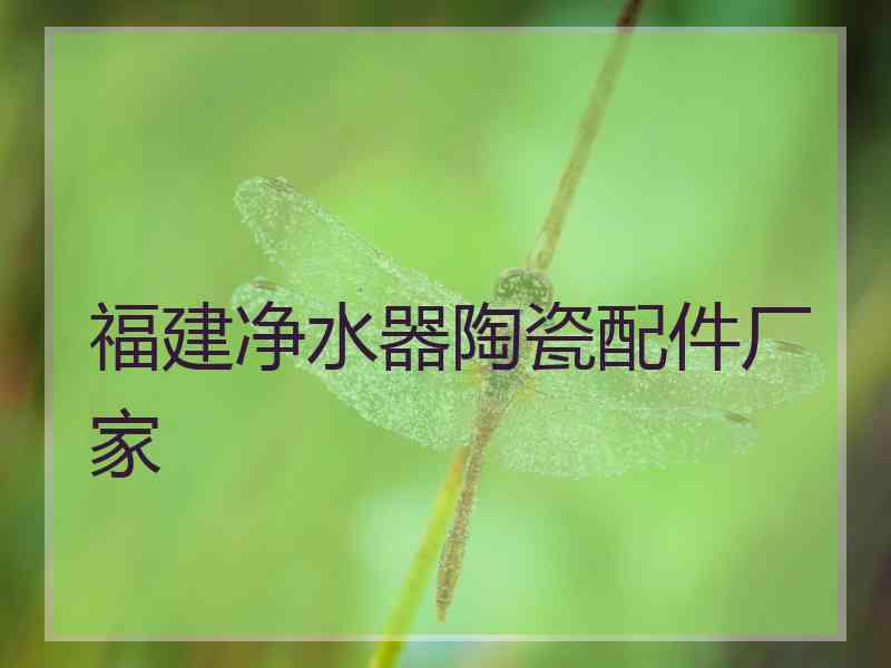 福建净水器陶瓷配件厂家
