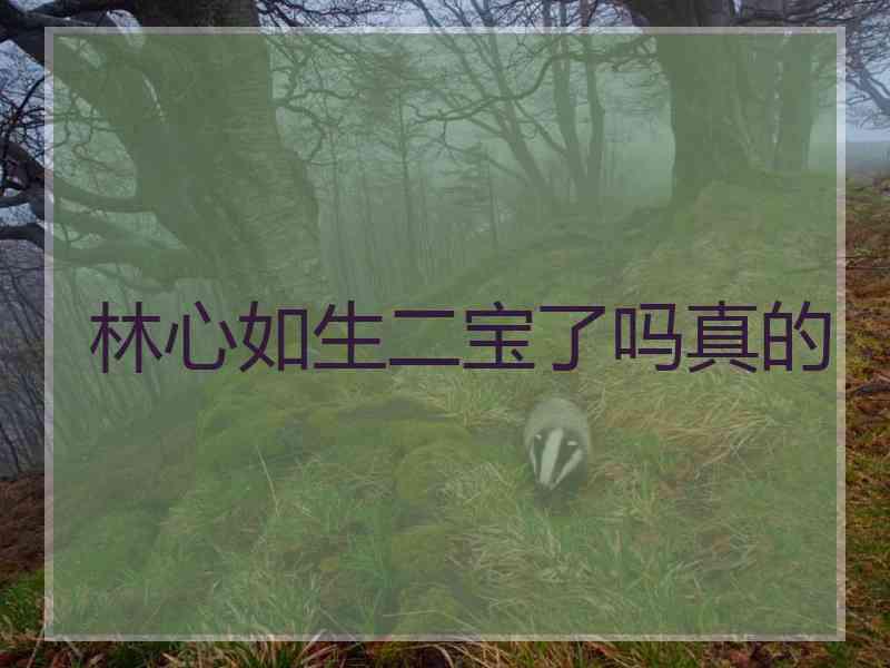林心如生二宝了吗真的