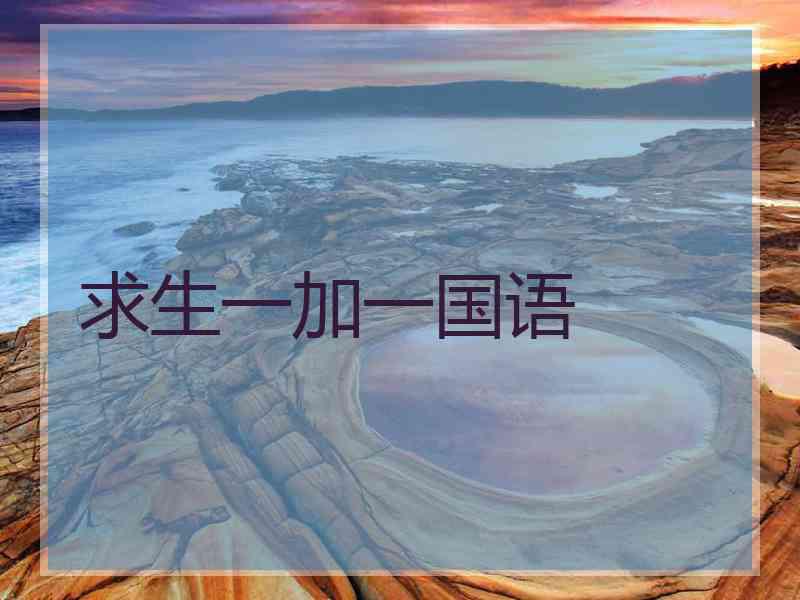 求生一加一国语