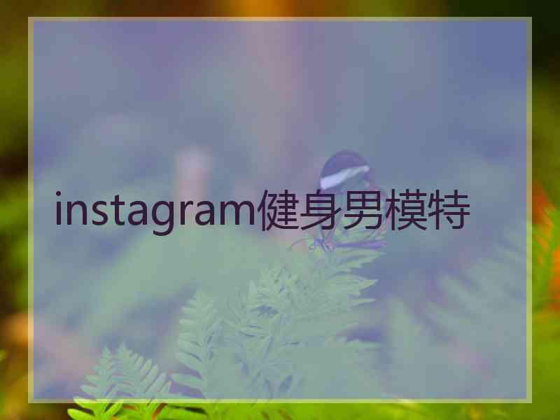 instagram健身男模特