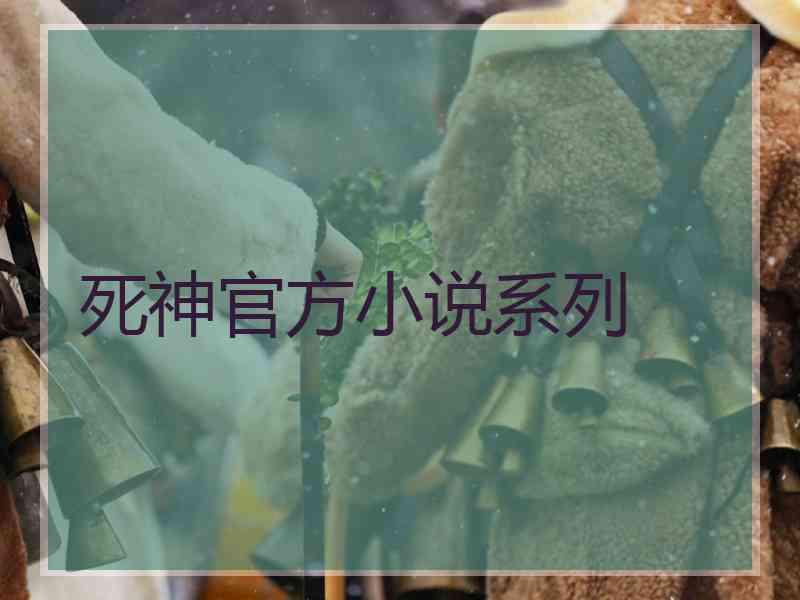 死神官方小说系列