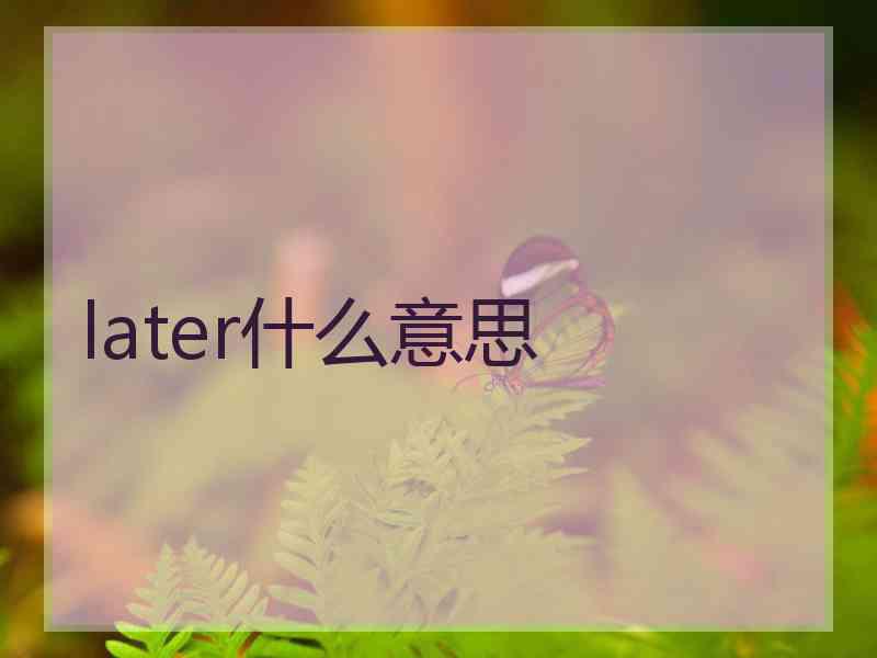 later什么意思