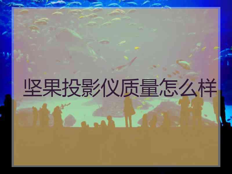 坚果投影仪质量怎么样