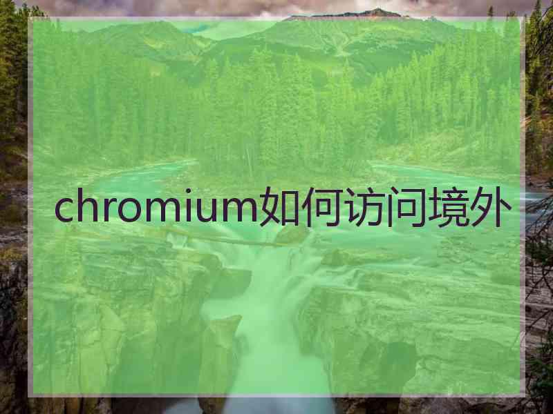chromium如何访问境外