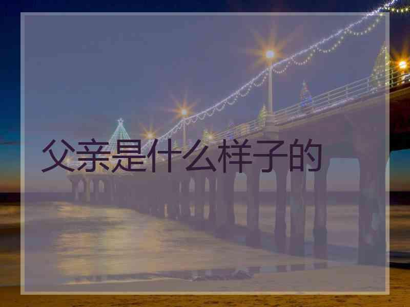 父亲是什么样子的