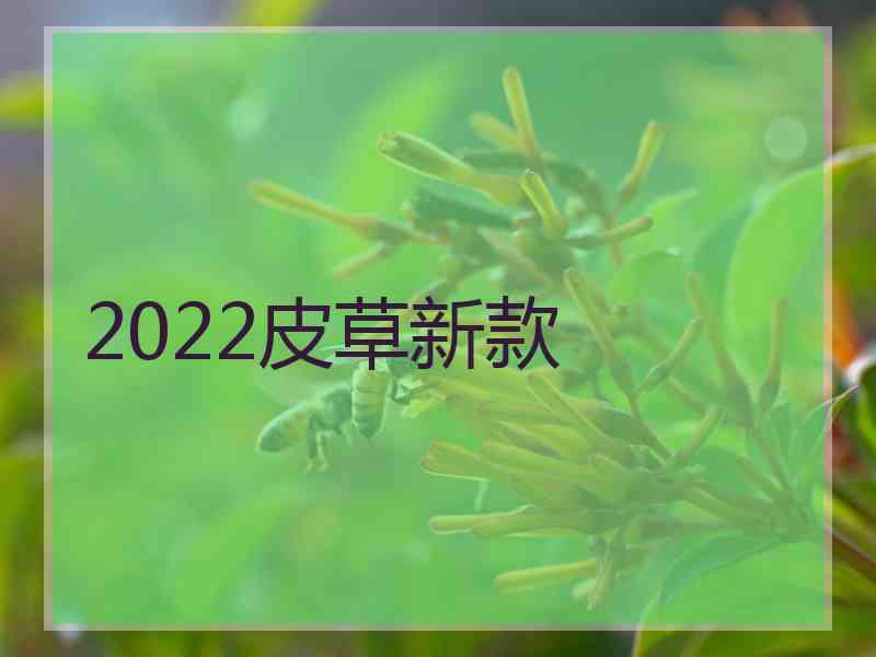 2022皮草新款