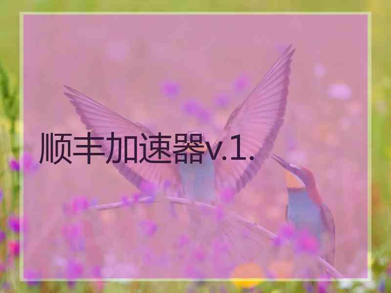顺丰加速器v.1.