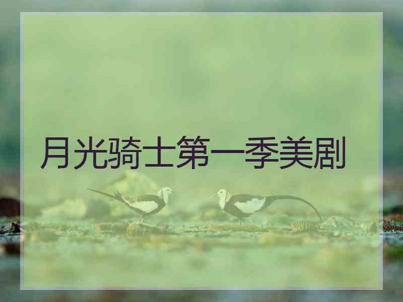 月光骑士第一季美剧