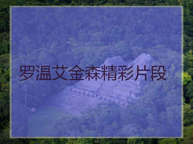罗温艾金森精彩片段