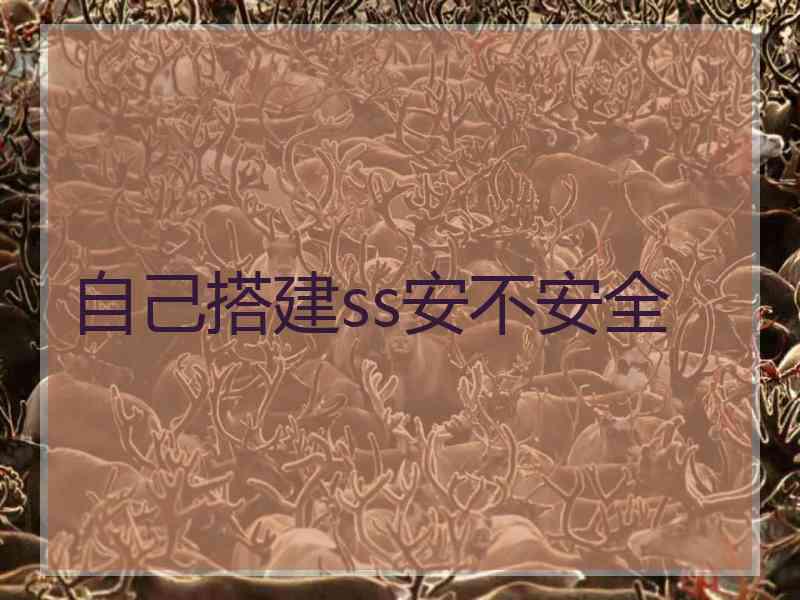 自己搭建ss安不安全