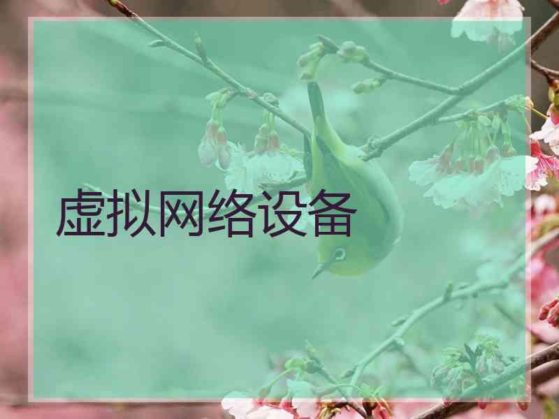 虚拟网络设备