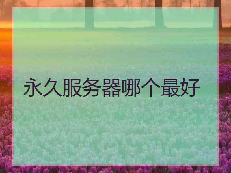 永久服务器哪个最好