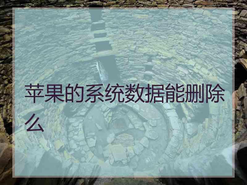 苹果的系统数据能删除么