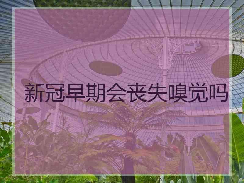 新冠早期会丧失嗅觉吗