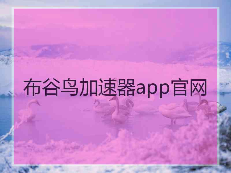 布谷鸟加速器app官网