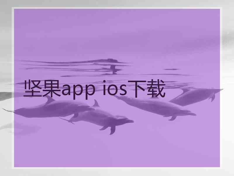 坚果app ios下载