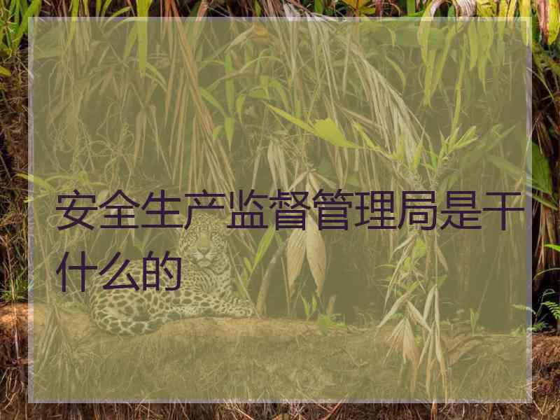 安全生产监督管理局是干什么的