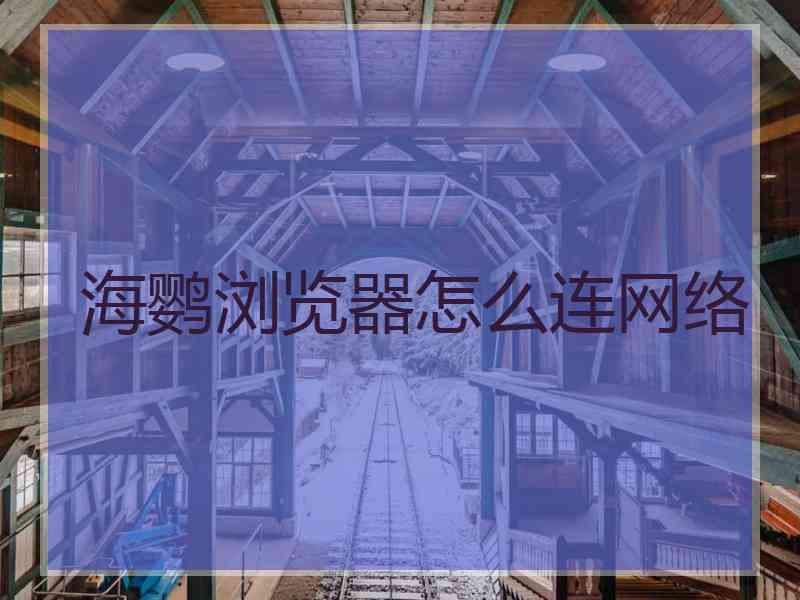 海鹦浏览器怎么连网络
