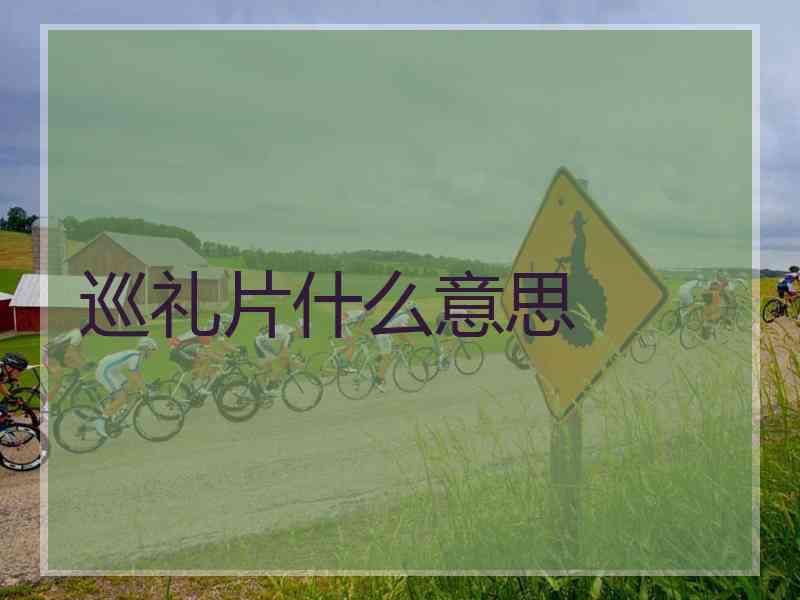 巡礼片什么意思