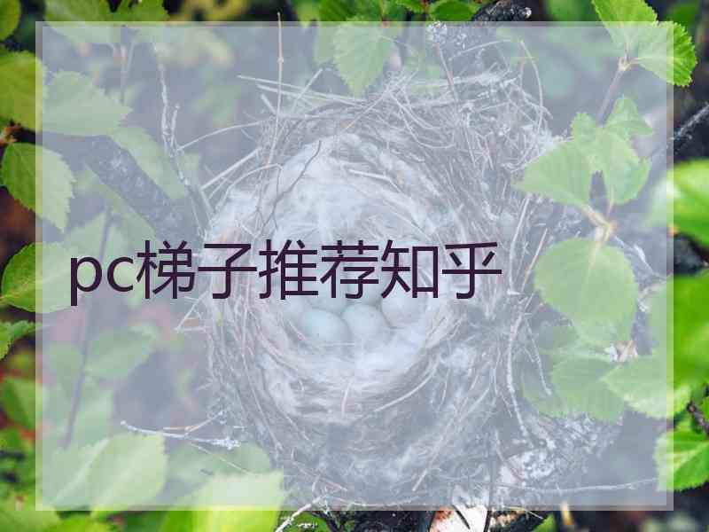 pc梯子推荐知乎