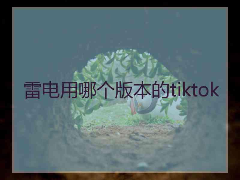 雷电用哪个版本的tiktok