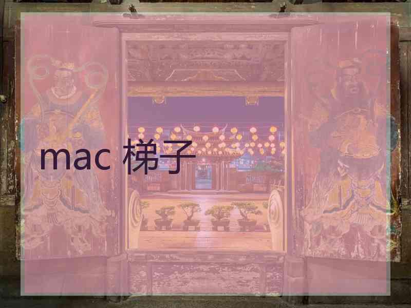 mac 梯子