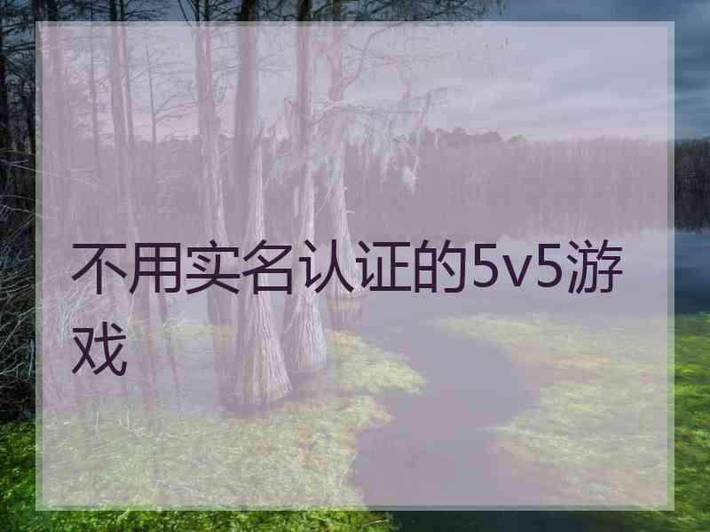 不用实名认证的5v5游戏
