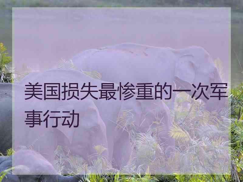 美国损失最惨重的一次军事行动