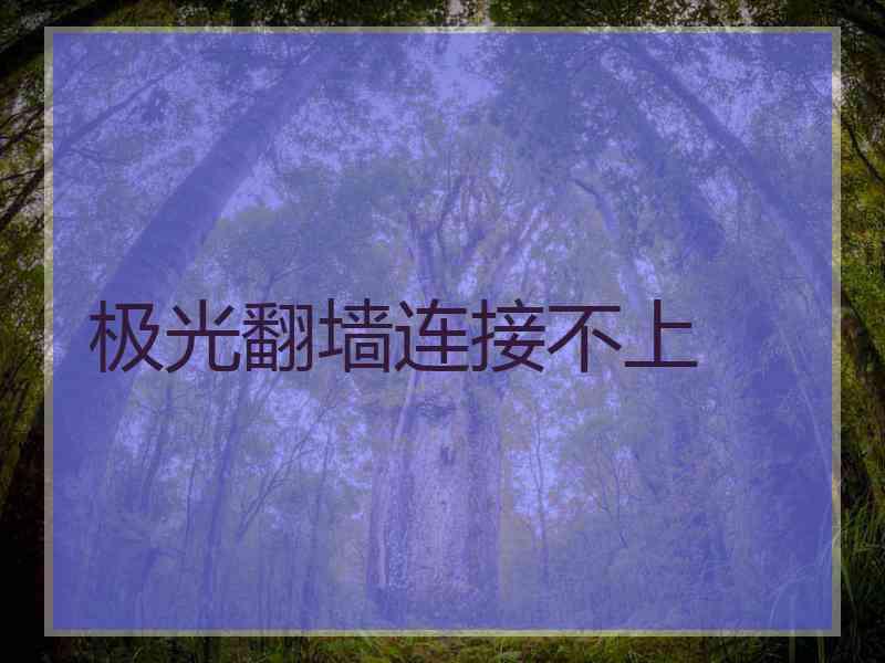 极光翻墙连接不上