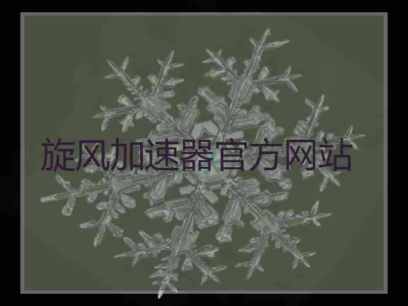 旋风加速器官方网站