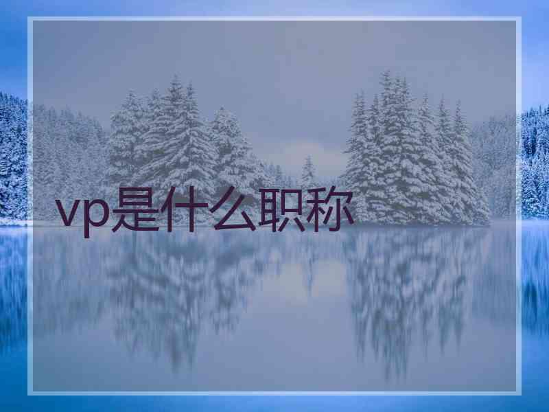 vp是什么职称