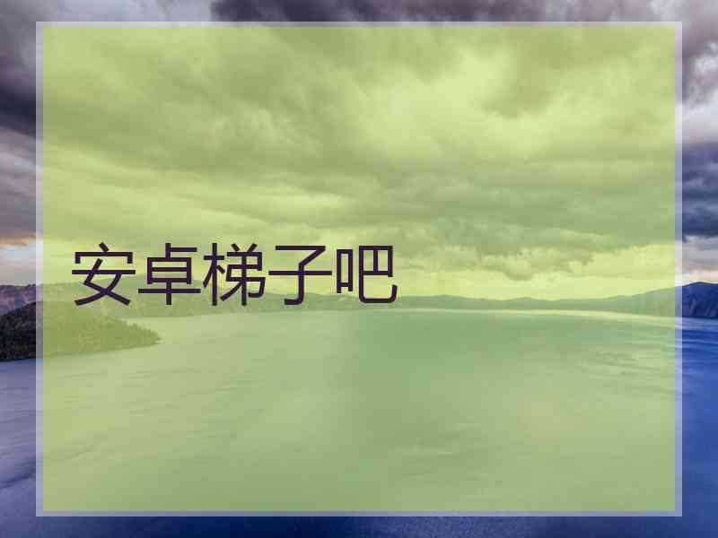 安卓梯子吧