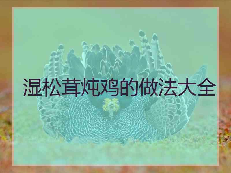 湿松茸炖鸡的做法大全