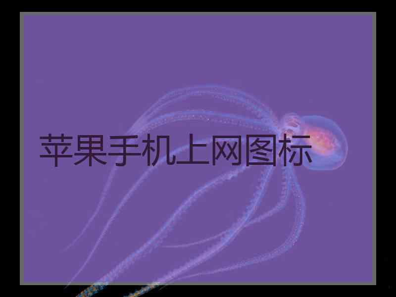 苹果手机上网图标
