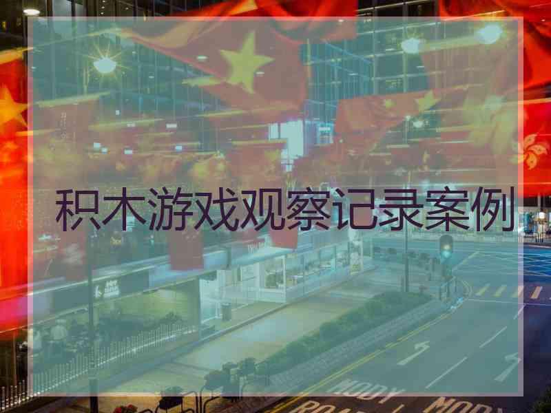 积木游戏观察记录案例