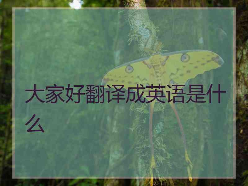 大家好翻译成英语是什么
