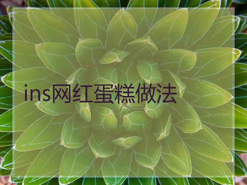 ins网红蛋糕做法