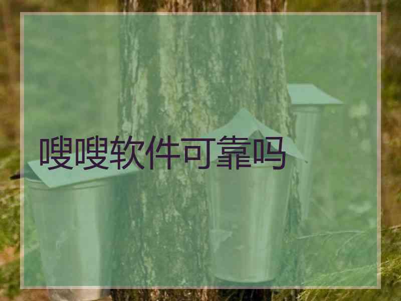 嗖嗖软件可靠吗