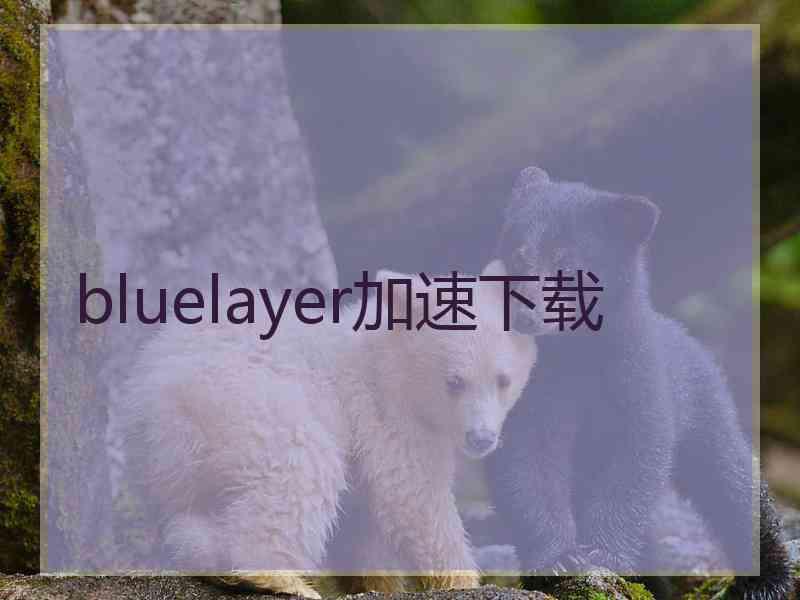 bluelayer加速下载