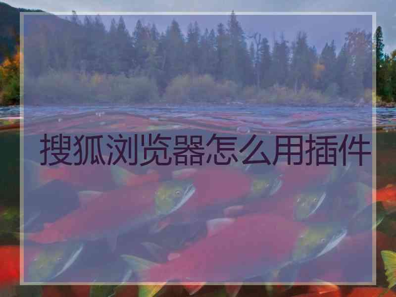 搜狐浏览器怎么用插件