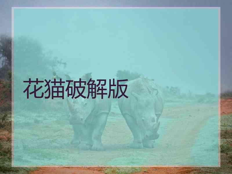 花猫破解版