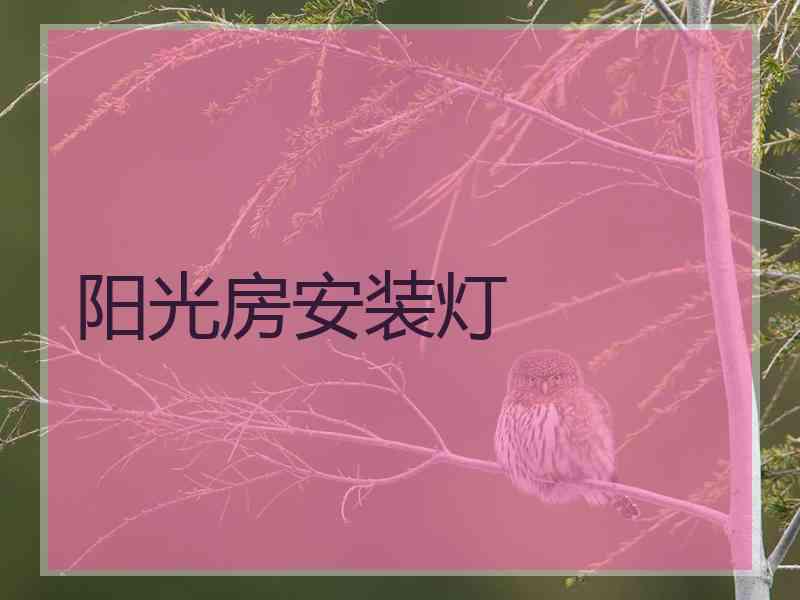 阳光房安装灯