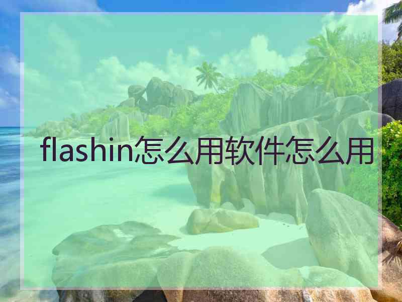flashin怎么用软件怎么用