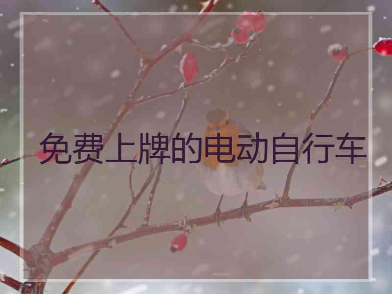 免费上牌的电动自行车