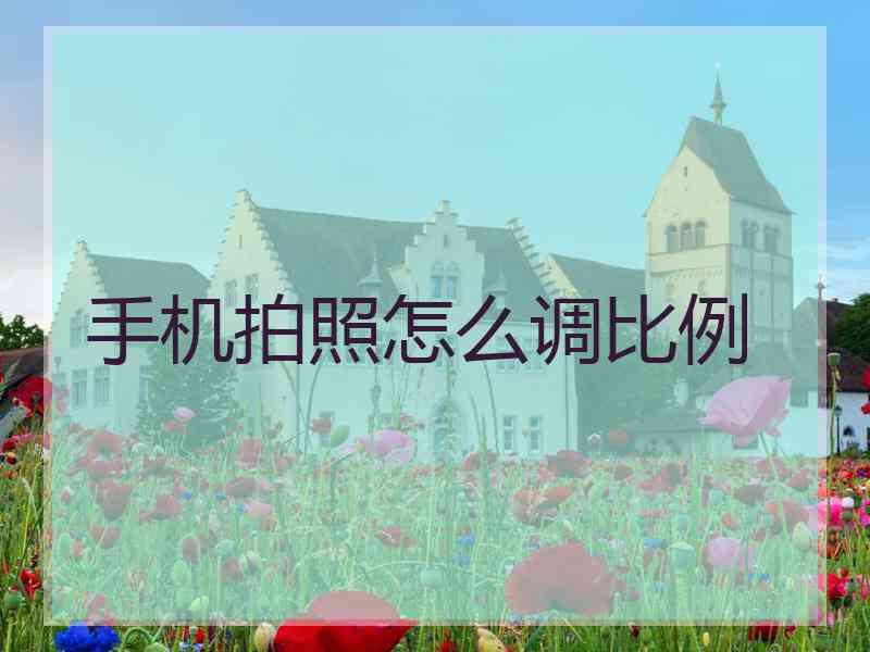 手机拍照怎么调比例