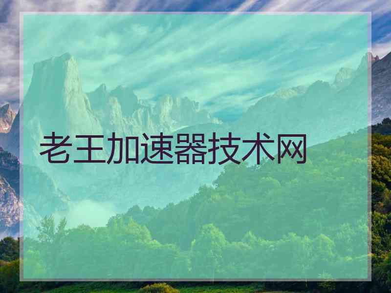 老王加速器技术网