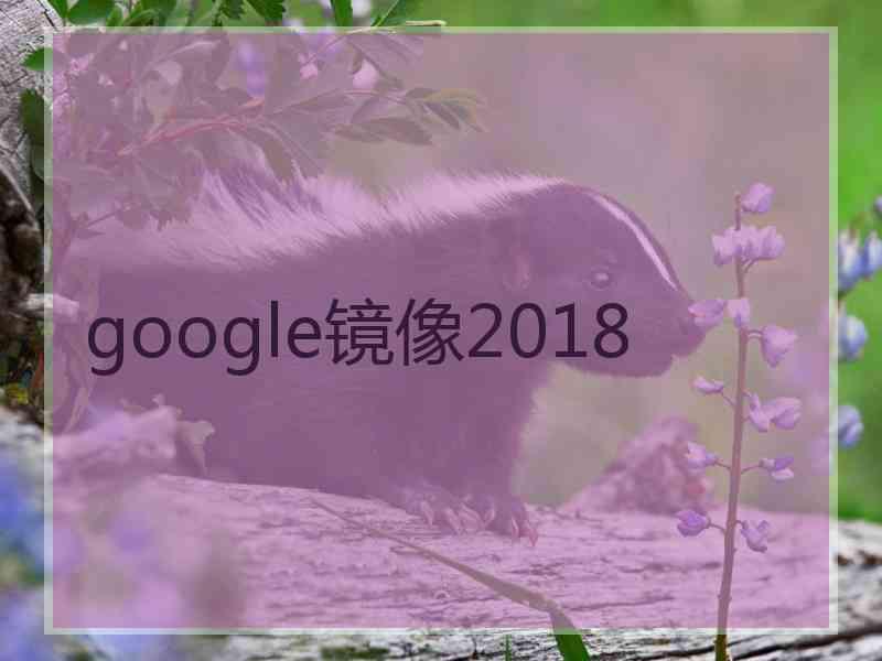 google镜像2018