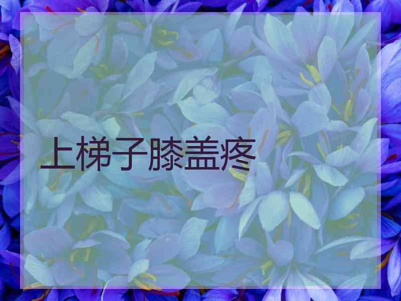 上梯子膝盖疼