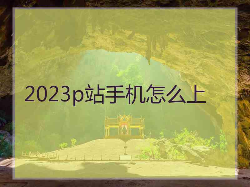 2023p站手机怎么上