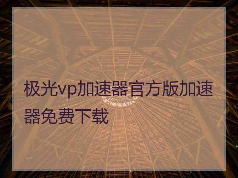 极光vp加速器官方版加速器免费下载